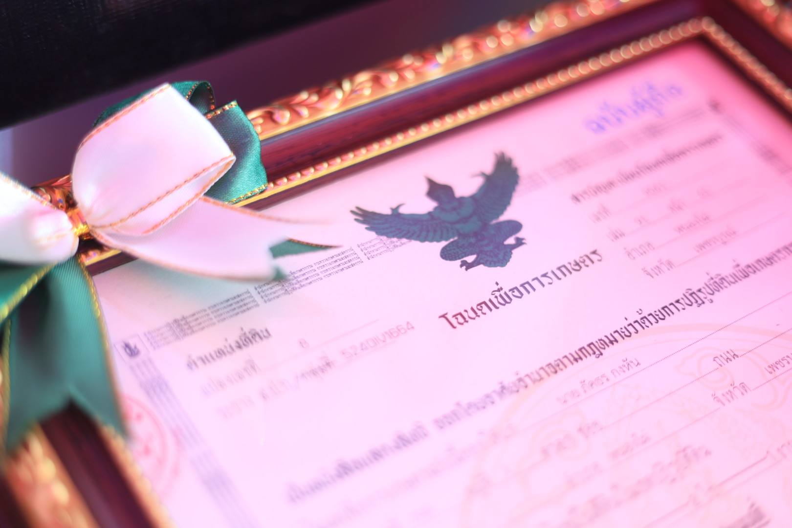 title - ส.ป.ก. ดำเนินโครงการจัดที่ดินแปลงว่างให้เกษตรกรผู้ไร้ที่ดินทำกินในเขตปฏิรูปที่ดินจังหวัดเพชรบูรณ์